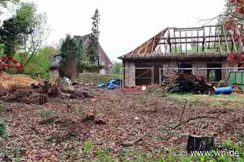 Kahlschlag wirft viele Fragen auf