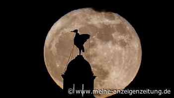 „Wonnemond“ oder „Blumenmond“ – Wann der Vollmond im Mai am Himmel steht