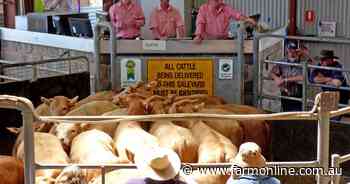 Public rallies behind Swan Hill saleyards amid ongoing financial losses