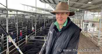 John Teitzel: four decades in Armidale and still getting used to the cold