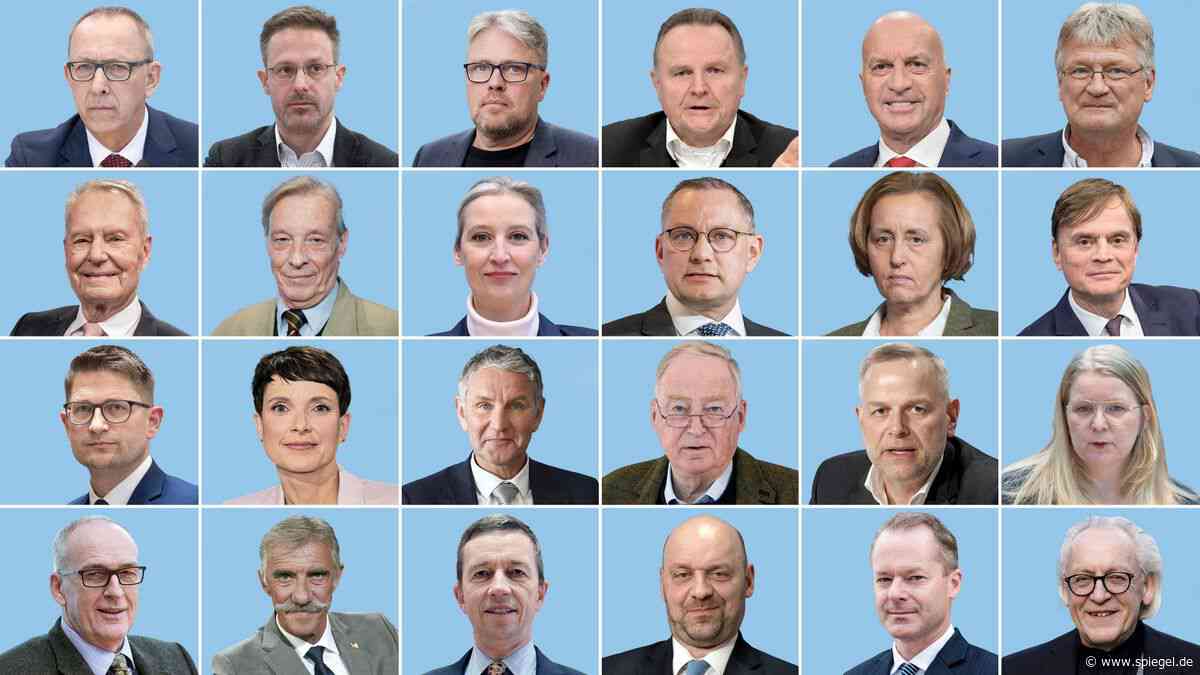 AfD bei Miosga, Maischberger und Lanz: Die AfD wird bleiben – auch in den Talkshows