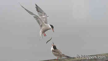 What's All the Noise About? Why Should Your ISO Setting Still Matter to You?