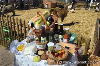 Notre panier gourmand à la Fête des producteurs du Var