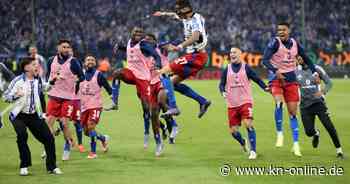 Endlich wieder Bundesliga! HSV im Partyrausch zum Aufstieg
