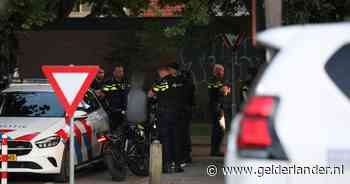 Politie vindt vuurwapen na melding vechtpartij: 18-jarige Edenaar aangehouden