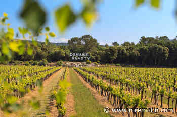 Guerre des taxes: en 1925, un député varois sonnait déjà l’alerte