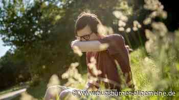 Pollenflug nimmt zu: Diese Regionen in Bayern sind derzeit besonders stark betroffen
