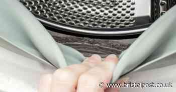 Cleaning expert explains how to keep washing machine seals free from mould