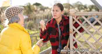 'I want to sell my home but my ridiculous neighbour could ruin everything'