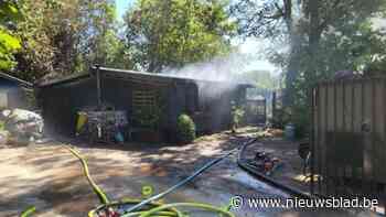 Brand vernielt chalet in Wechelderzande, bewoonster en hond blijven ongedeerd