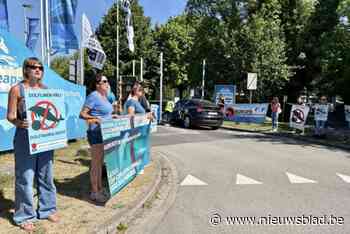 Bite Back wil  dolfinarium sneller dicht: “Nog eens 12 jaar rondjes zwemmen, dat is best lang”