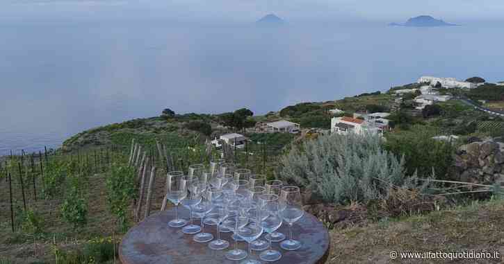 Il settore vitivinicolo attende i contraccolpi di eventuali dazi. Ma le produzioni di qualità sembrano immuni