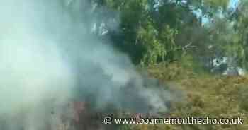WATCH: Heath fire on nature reserve in Bournemouth