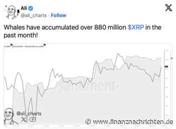 XRP im Fokus: Massive Wal-Aktivitäten könnten Kurs auf 5 Dollar treiben