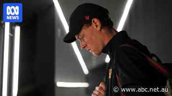 Italian crowd compares Sinner's victorious return to pope's ascent