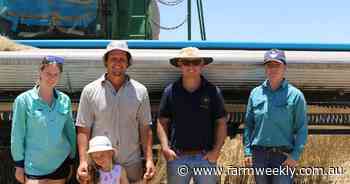 How does 'strip and disc' compare with 'draper and disc' when managing stubble?