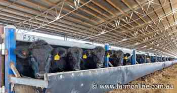 Rare opportunity with a high capacity SA feedlot offered for sale