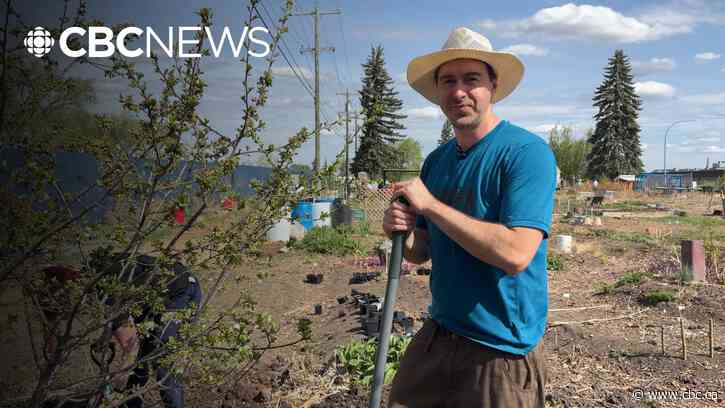 Edmonton urban farmers relocate 400 trees in anticipation of move