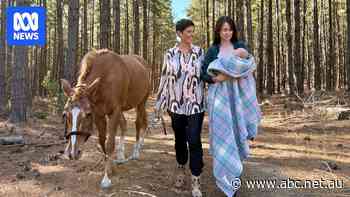 'Everyone should have two mums': Narelda Jacobs's motherhood journey