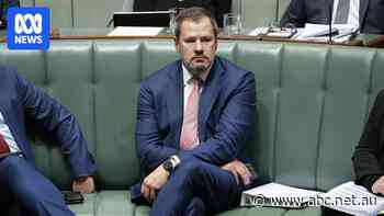 Dumped minister accuses Richard Marles of being a 'factional assassin',