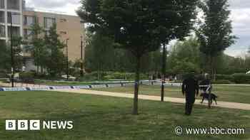 Man charged with murder and robbery of 87-year-old