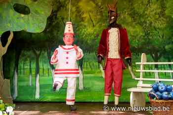 Pierke heeft hulp nodig: kudde schapen dreigt Gentse mascotte van belangrijke overwinning te houden