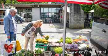 Bloemist over giftige bloemen: 'Appels en peren zitten onder de pesticiden, maar het gaat over bloemen in een vaas'