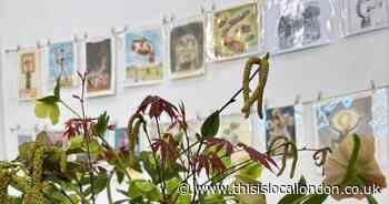 The beautiful allotments getting a boost from an artist's donation