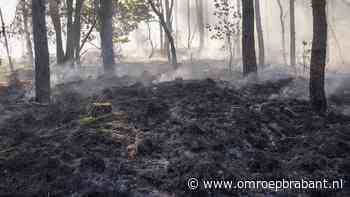 Natuurbrand: brandweer schaalt op omdat vuurhaard lastig te bereiken is