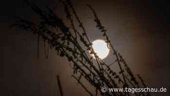 Wie sich der Klimawandel auf die Eisheiligen auswirkt