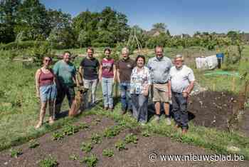 Pluktuin De Meent krijgt meer en meer vorm: “Dromen van een vaste groep vrijwilligers”
