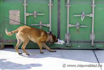 Nu al meer drugsuithalers betrapt in Antwerpse haven dan in heel 2024