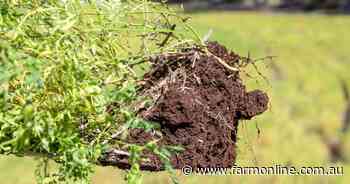 Farm property sales boom ends, land prices now set for a slow recovery