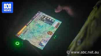 Drone survey maps out koala habitat south of Brisbane