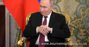 Zelensky agrees to meet Putin in Turkey after Trump demands they end war