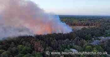 Aerial photos show extent of woodland fire in village