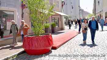 Rote Pflanzkübel und Podeste: Wie kommen die Interimsmaßnahmen in der Altstadt an?