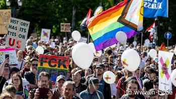 "Gesichert rechtsextrem": Tausende gehen für AfD-Verbotsverfahren auf die Straße