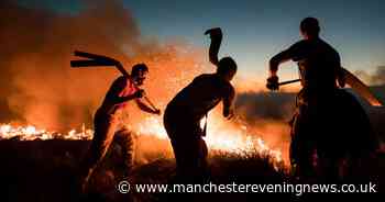 Why are we having so many wildfires?