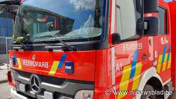 Barbecue vat vuur en zet tuinhuis in brand in Wechelderzande