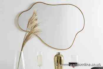 Dunelm's 'unique' £50 wall mirror looks 'more expensive' and 'really brings room together'