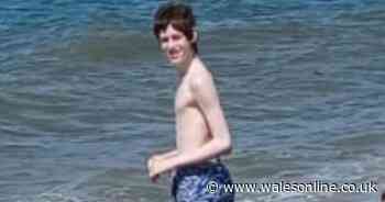 Everything we know about missing boy as major search underway