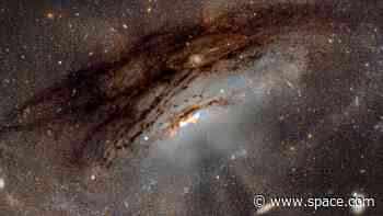 Calling citizen scientists! Help NASA's Galaxy Zoo classify galaxies seen by James Webb Space Telescope