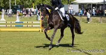 Segeberger Reiter- und Fahrertage: Fiona Lamp und Boogie Woogie neue Dressur-Vereinsmeisterinnen