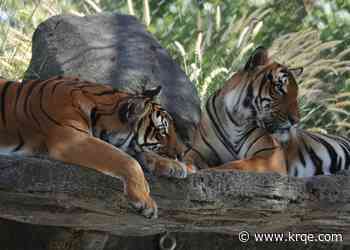 ABQ BioPark celebrates Mother's Day
