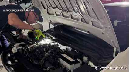 AFR rescue cat trapped in car