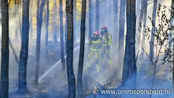 Bomen en struiken in brand langs A2, drie verschillende brandhaarden