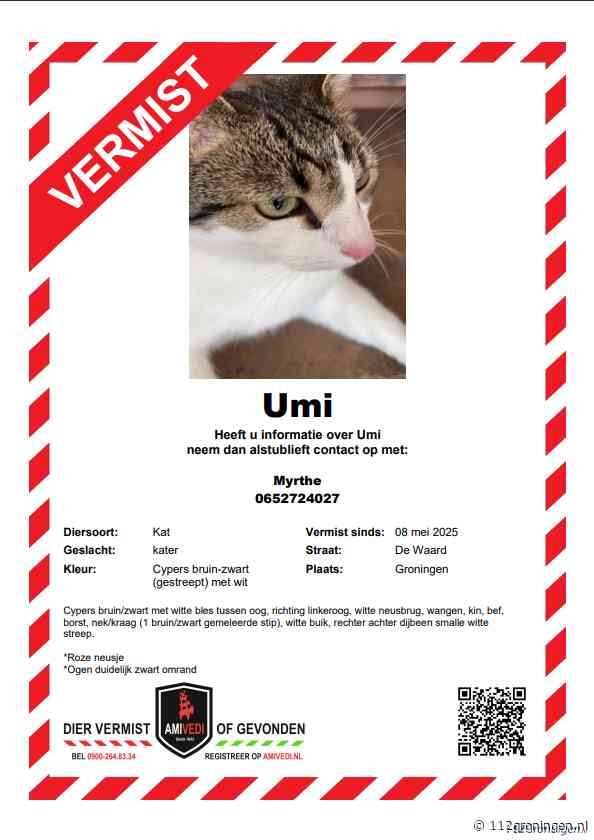 Kat Umi vermist in Groningen