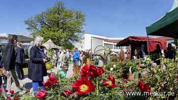 Fest zwischen Stauden und Blumen