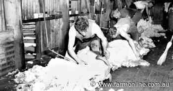 Adieu to wool's glory days, or just see you later? What's next for industry